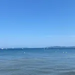 Les Flamants Roses La Capte T2 4 Personnes 200M De La Plage