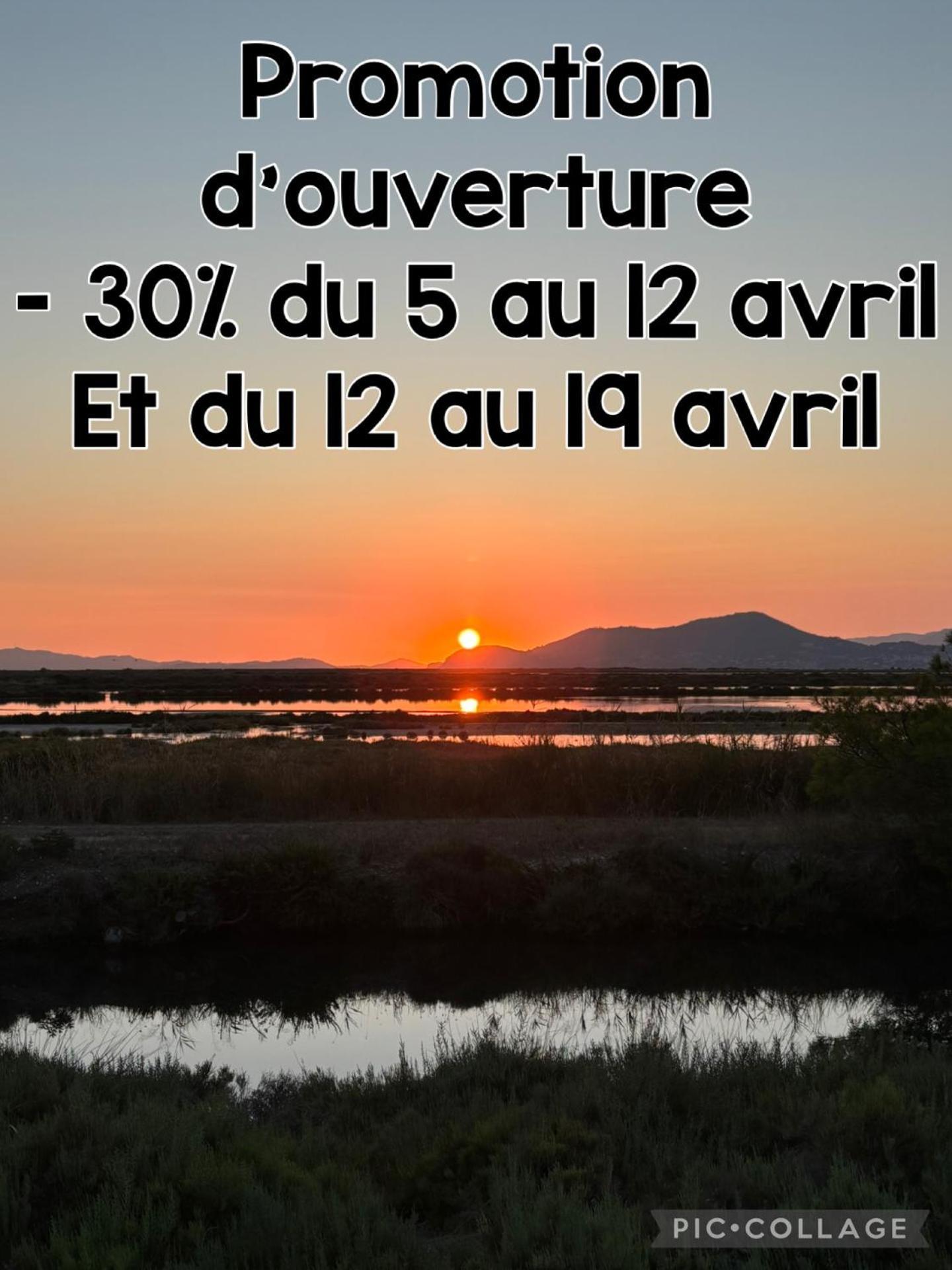 Les Flamants Roses La Capte T2 4 Personnes 200m De La * Hyères
