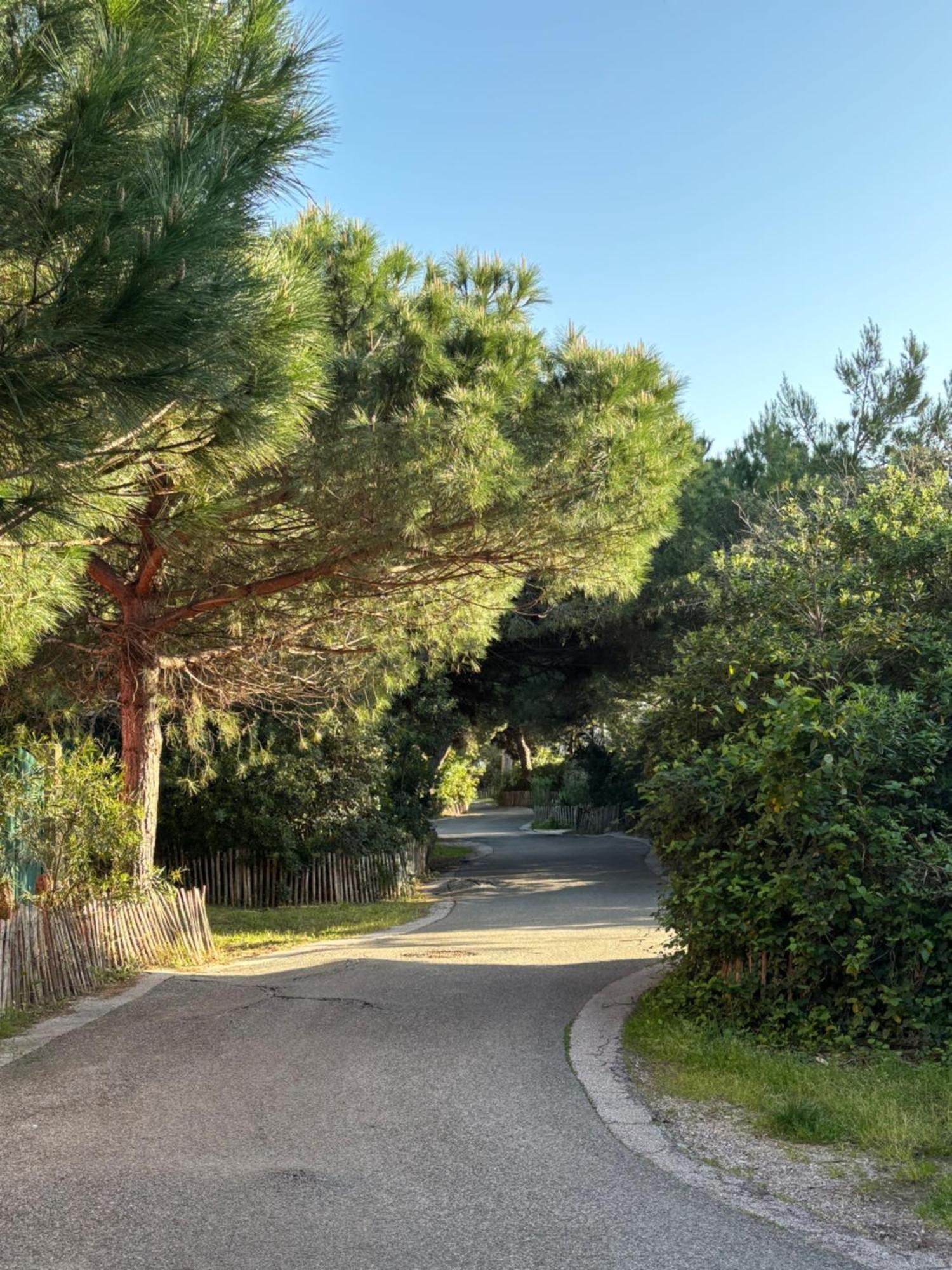 Les Flamants Roses La Capte T2 4 Personnes 200m De La Appartement